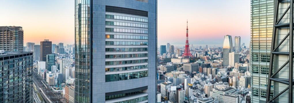 Tokyo skyline panorama at sunrise with view of Tokyo Tower