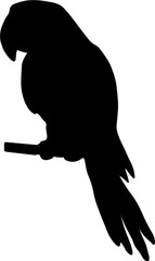 Parrot silhouette icon isolated on white background, bird