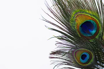 Keuken spatwand met foto Beautiful bright peacock feathers on white background, top view © New Africa