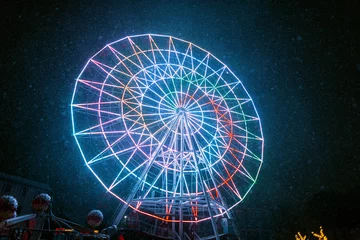 Deurstickers Cool neon ferris wheel illuminated in the park in snowy weather at night. Amazing park © alones