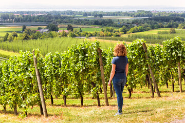 Vineyard rows overlooking grape fields, young woman looks at green vine plantation.
