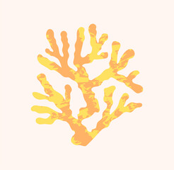 Sea life concept. Colorful sticker with beautiful orange coral with yellow spots. Bright inhabitant of underwater world or reef. Design element for covers. Cartoon modern flat vector illustration