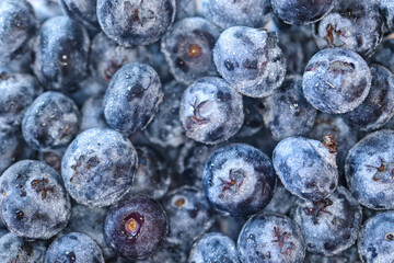 blueberries on a plate