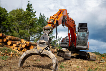 A swing loader is used to stack pine logs and for loading onto a logging truck at a forestry site....