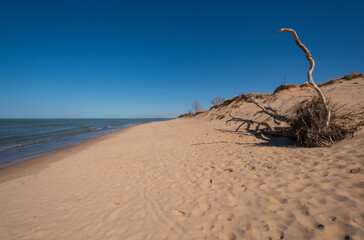 Desolate Beach on a Remote Lakeshore