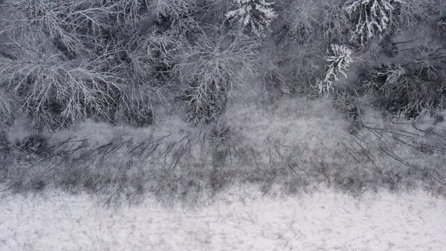 Aerial footage of winter landscape in a forrest. High quality 4k footage