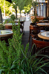 Fototapeta na wymiar urban cafe with summer plants
