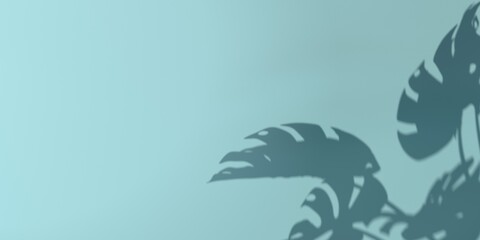 Shadow background of tropical monstera leaves - 3D render © Tierney