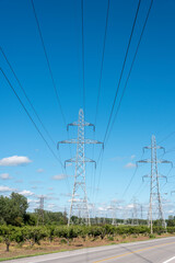 Hydro towers with power lines stretch above a vineyard.