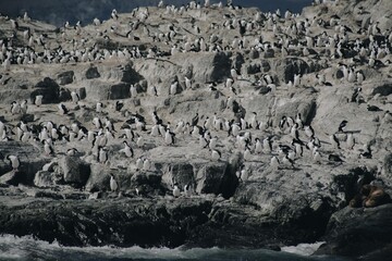 Ushuaia-Argentina