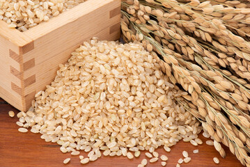 Japanese brown rice and ear of rice on an old wood background.