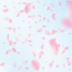 Sakura petals falling down. Romantic pink flowers falling rain. Flying petals on blue sky square background. Love, romance concept. Magnificent wedding invitation.