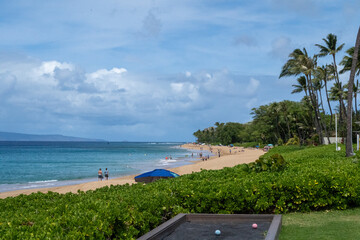 beach with trees and sky