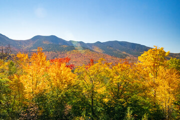 autumn landscape in the mountains