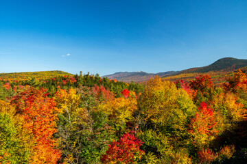 autumn landscape in the mountains