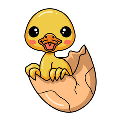 Cute little duck cartoon hatching from egg