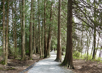 Walking trail along the river shores
