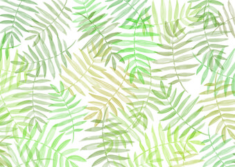 Summer background. Green and brown watercolor leave