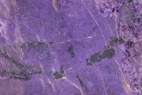Minerals of Siberia, Russia. Charoite, a natural semi-precious stone, the only deposit, backgrounds and textures.