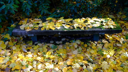 Stone Bench in Arboretum 
