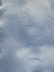 Gefrorene Wassertropfen, Tau Texture, Eis und Schnee