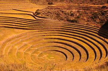 Moray