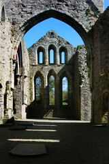 Fototapeta na wymiar Gothic Ruins 