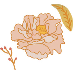 Floral Set. Digital Ilustration Flower set on white