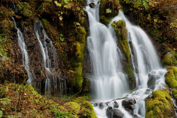 Fototapeta na wymiar 山の中の滝のある風景　-日本、北杜市、吐竜の滝