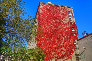 Warsaw / Varsovia / Warszawa