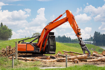 A swing loader stacking cut pine logs at a logging site removing a belt of shelter trees. Tree removal, New Zealand