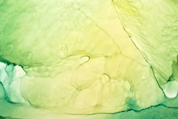 Abstract green ink watercolor background. paint stains and spots in water, luxury fluid liquid art...