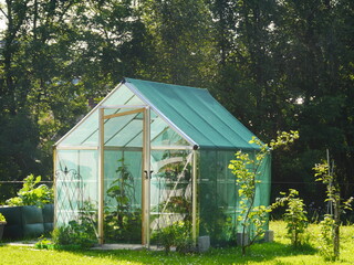 little greenhouse