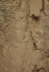 Close-up of travertine covering Tepee Fountain in Hot Springs State Park, Wyoming