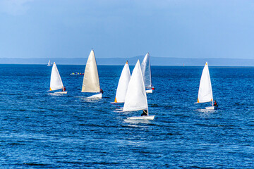 Peaceful sailboats floating by on a beautiful Australian summer afternoon on the bright blue sea 