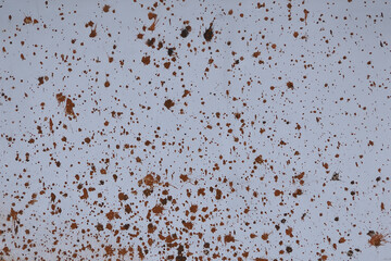 Black and white abstract splatter color on wall background. Textured paint drops ink splash grunge design