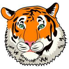 Vector illustration of the portrait of the wildlife tiger