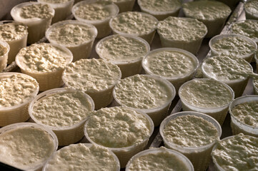 Process of making fresh white soft ricotta whey cheese on small cheese farm in Parma, Italy