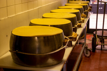 Process of making wheels of parmigiano-reggiano parmesan cheese on small cheese farm in Parma, Italy