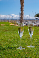 Celebration of championship with glasses of champagne bubbles wine on green lawn of golf club