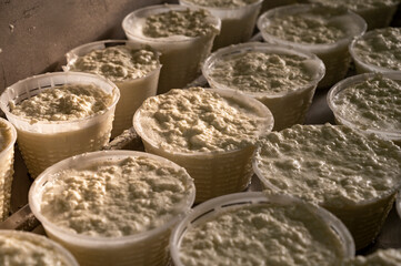 Process of making fresh white soft ricotta whey cheese on small cheese farm in Parma, Italy