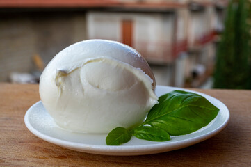 White ball of Italian soft cheese Mozzarella di Bufala Campana and fresh green basil