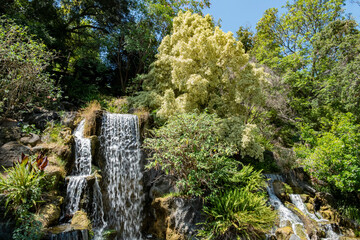 Sunny view of the waterfall in Los Angeles County, Los Angeles County Arboretum and Botanic Garden