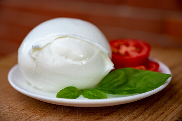 White ball of Italian soft cheese Mozzarella di Bufala Campana with fresh green basil and red tomato
