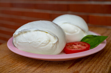 White ball of Italian soft cheese Mozzarella di Bufala Campana with fresh green basil and red tomato