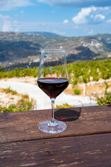 Wine industry of Cyprus island, tasting of red dry wine on winery with view on vineyards and south slopes of Troodos mountain range.