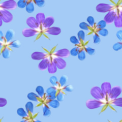 Obraz na płótnie Canvas Forest geranium. Illustration, texture of flowers. Seamless pattern for continuous replication. Floral background, photo collage for textile, cotton fabric. For wallpaper, covers, print.