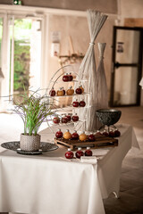 Wedding reception in an old French wineyard - fresh strawberry and mango juices