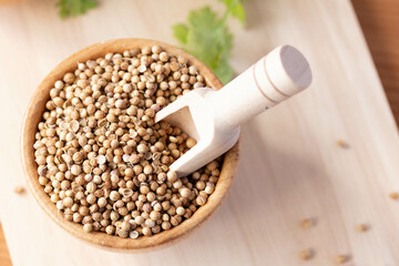 Coriander seeds in a wooden cup copy space