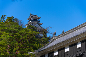 よく晴れた日の高知城天守閣